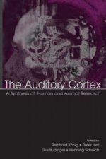 Auditory Cortex