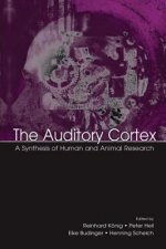 Auditory Cortex