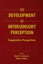 Development of Intersensory Perception