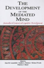 Development of the Mediated Mind