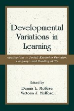 Developmental Variations in Learning