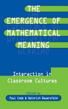 Emergence of Mathematical Meaning