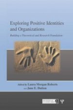 Exploring Positive Identities and Organizations