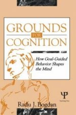 Grounds for Cognition