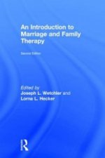 Introduction to Marriage and Family Therapy