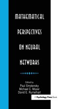 Mathematical Perspectives on Neural Networks