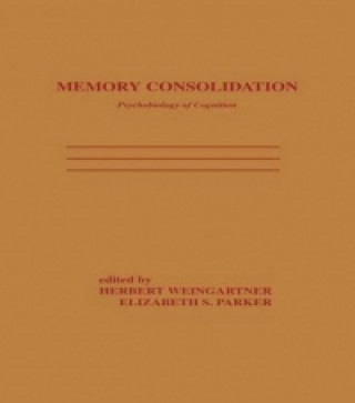 Memory Consolidation