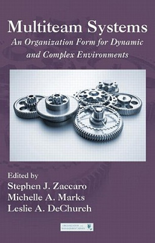Multiteam Systems