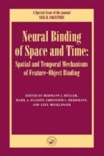 Neural Binding of Space and Time: Spatial and Temporal Mechanisms of Feature-object Binding