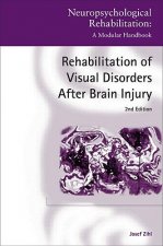 Rehabilitation of Visual Disorders After Brain Injury