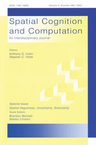 Spatial Vagueness, Uncertainty, Granularity
