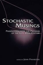Stochastic Musings
