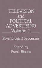 Television and Political Advertising