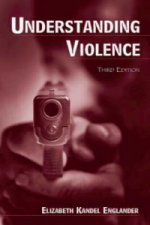 Understanding Violence