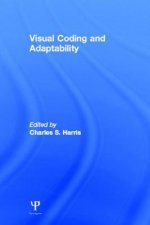 Visual Coding and Adaptability