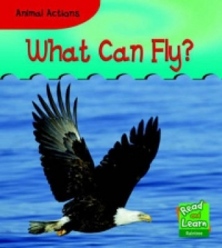 What Can Fly?