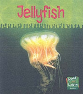 Ooey-Gooey Animals: Jellyfish Hardback
