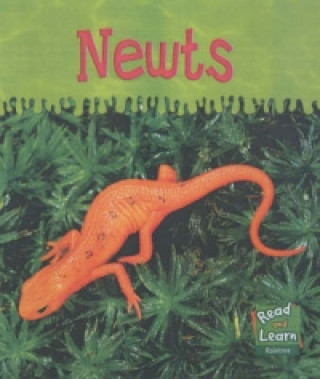 Newts