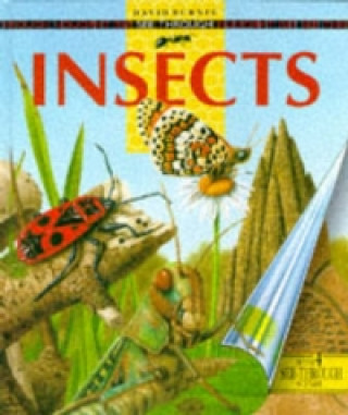 See Through Insects
