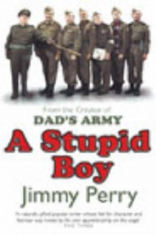 Stupid Boy