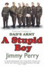 Stupid Boy