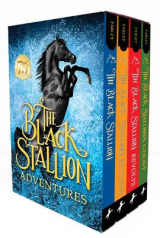 Black Stallion Adventures