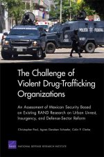 Challenge of Violent Drug-Trafficking Organizations
