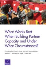 What Works Best When Building Partner Capacity and Under What Circumstances?