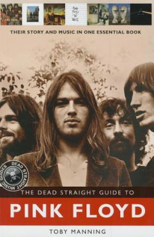 Dead Straight Guide to Pink Floyd