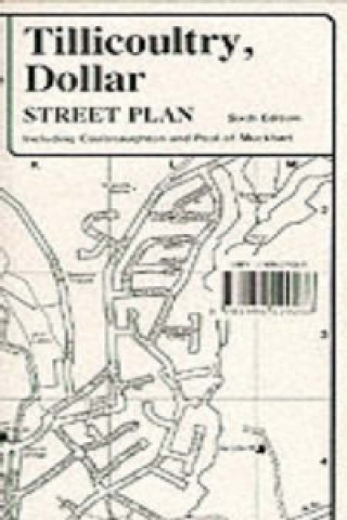 Tillicoultry, Dollar Street Plan