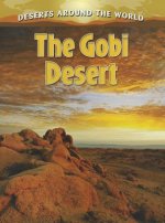 Gobi Desert