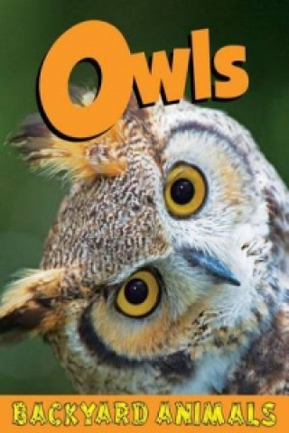 Owls