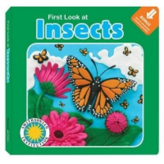 First Look at Insects