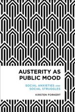 Austerity as Public Mood