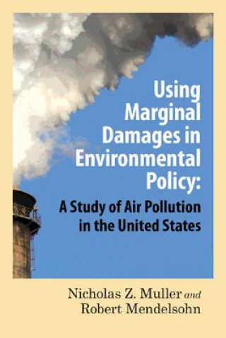 Using Marginal Damages in Environmental Policy