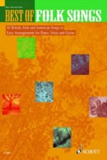 BEST OF FOLK SONGS