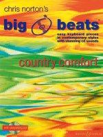 BIG BEATS