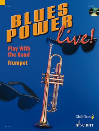 BLUES POWER LIVE