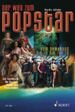 DER WEG ZUM POPSTAR