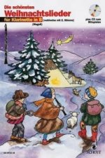 DIE SCHNSTEN WEIHNACHTSLIEDER
