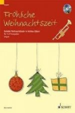 FRHLICHE WEIHNACHTSZEIT