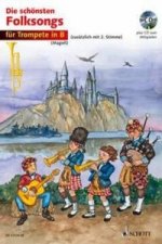 MOST BEAUTIFUL FOLK SONGS