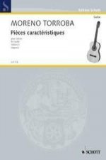 PICES CARACTRISTIQUES VOL 2