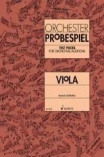 Orchester Probespiel Viola