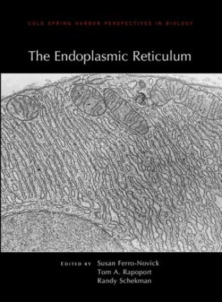 Endoplasmic Reticulum