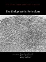 Endoplasmic Reticulum