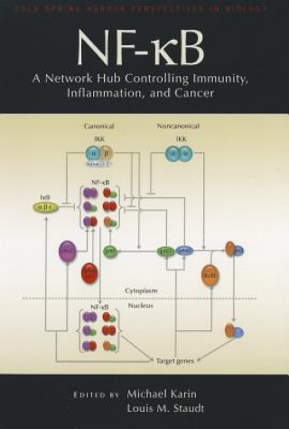 Nf-Kb, a Network Hub Controlling Immunity, Inflammation, and Cancer