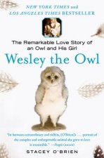 WESLEY THE OWL