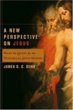 New Perspective On Jesus  A