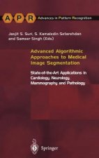 Advanced Algorithmic Approaches to Medical Image Segmentation